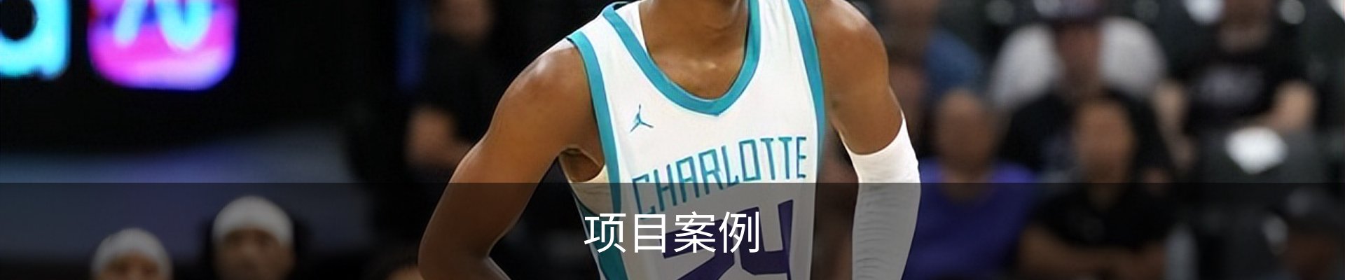 项目案例